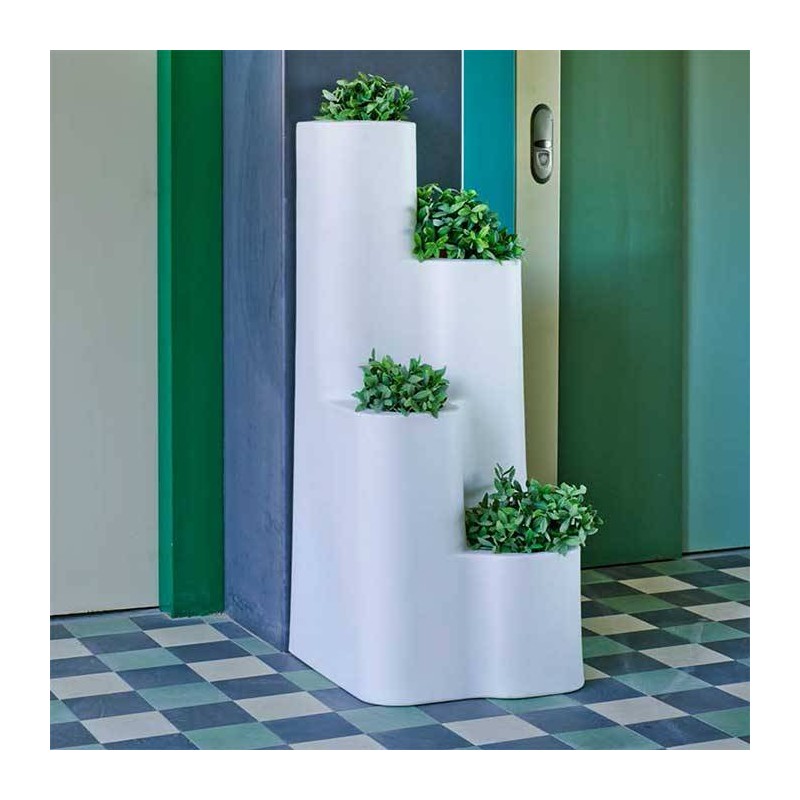 macetero-hiedra