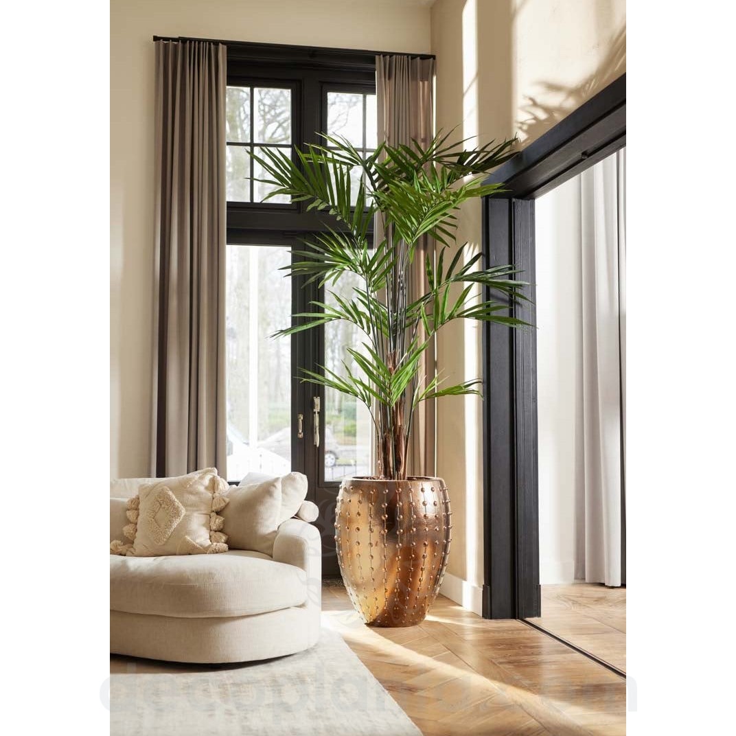 423954-Palmera_KENTIA_MAXI_en-interior